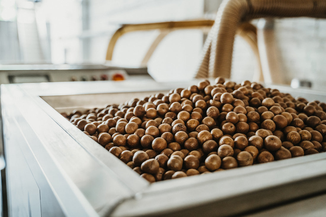 photo of brown, round macadamia nuts